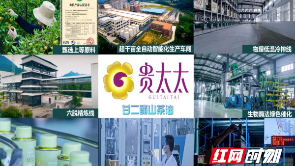 “貴太太”甘二酯山茶油 開啟茶油產業(yè)創(chuàng)新新紀元