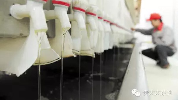 【長沙晚報】湖南貴太太帶兩萬農戶奔小康