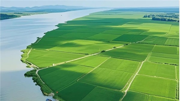 湖南省糧食和物資儲(chǔ)備科技活動(dòng)周專刊：特沃斯（貴太太）集團(tuán)“食用植物油關(guān)鍵技術(shù)突破及產(chǎn)業(yè)創(chuàng)新發(fā)展實(shí)踐—以貴太太甘二酯山茶油為例”